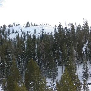 Meet your Posher, Elias